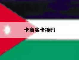 卡商实卡接码