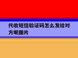 代收短信验证码怎么发给对方呢图片