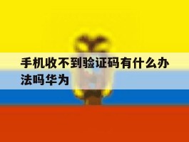 手机收不到验证码有什么办法吗华为