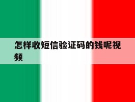 怎样收短信验证码的钱呢视频