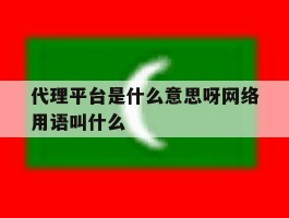 代理平台是什么意思呀网络用语叫什么