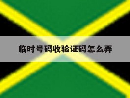 临时号码收验证码怎么弄