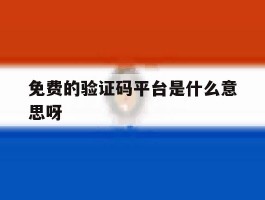 免费的验证码平台是什么意思呀