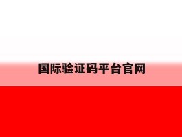 国际验证码平台官网
