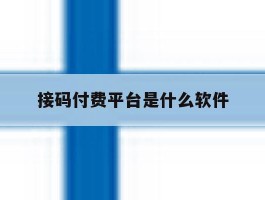 接码付费平台是什么软件