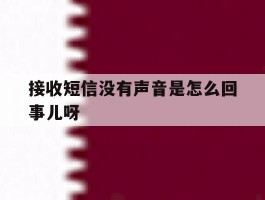 接收短信没有声音是怎么回事儿呀