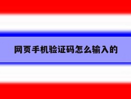 网页手机验证码怎么输入的