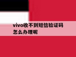 vivo收不到短信验证码怎么办理呢
