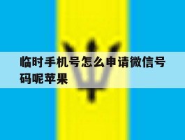 临时手机号怎么申请微信号码呢苹果