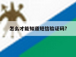 怎么才能知道短信验证码?