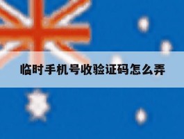 临时手机号收验证码怎么弄