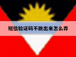短信验证码不跳出来怎么弄