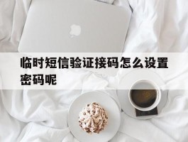 临时短信验证接码怎么设置密码呢的简单介绍