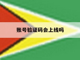 账号验证码会上线吗