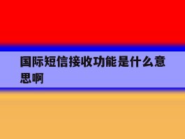 国际短信接收功能是什么意思啊