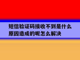 包含短信验证码接收不到是什么原因造成的呢怎么解决的词条