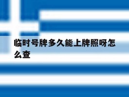 临时号牌多久能上牌照呀怎么查