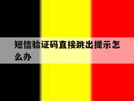 短信验证码直接跳出提示怎么办