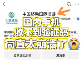 海外手机号短信接收验证码免费吗安全吗的简单介绍