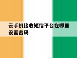 云手机接收短信平台在哪里设置密码
