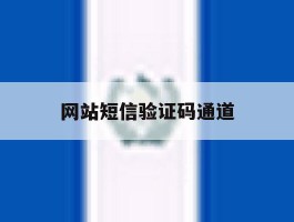 网站短信验证码通道