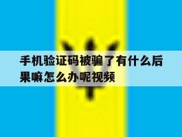 手机验证码被骗了有什么后果嘛怎么办呢视频
