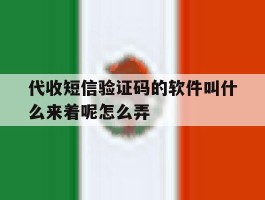代收短信验证码的软件叫什么来着呢怎么弄