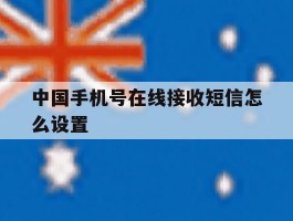 中国手机号在线接收短信怎么设置