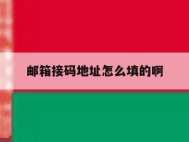 邮箱接码地址怎么填的啊