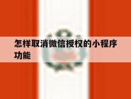 怎样取消微信授权的小程序功能