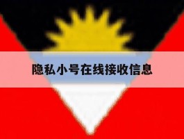 隐私小号在线接收信息