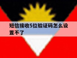 短信接收5位验证码怎么设置不了