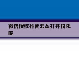 微信授权抖音怎么打开权限呢