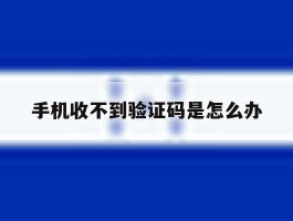 手机收不到验证码是怎么办