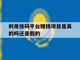 包含利用接码平台赚钱项目是真的吗还是假的的词条