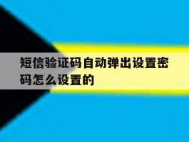 短信验证码自动弹出设置密码怎么设置的