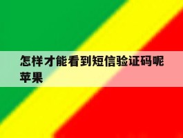 怎样才能看到短信验证码呢苹果