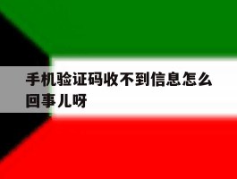 手机验证码收不到信息怎么回事儿呀