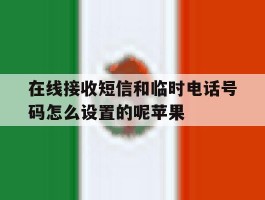 在线接收短信和临时电话号码怎么设置的呢苹果的简单介绍