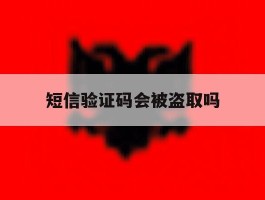 短信验证码会被盗取吗