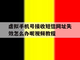 包含虚拟手机号接收短信网址失效怎么办呢视频教程的词条