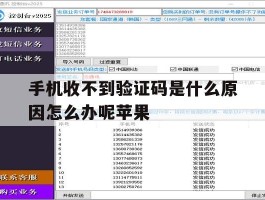 手机收不到验证码是什么原因怎么办呢苹果