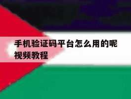 手机验证码平台怎么用的呢视频教程