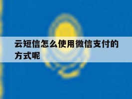 云短信怎么使用微信支付的方式呢