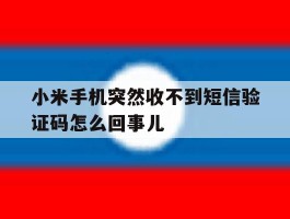 关于小米手机突然收不到短信验证码怎么回事儿的信息