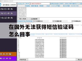 在国外无法获得短信验证码怎么回事