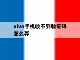 vivo手机收不到验证码怎么弄