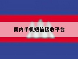 国内手机短信接收平台