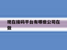 现在接码平台有哪些公司在做的简单介绍