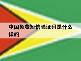 中国免费短信验证码是什么样的
